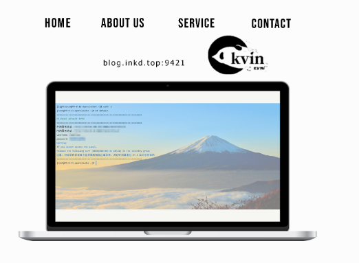 【鲸鱼发卡】搭建过程与问题